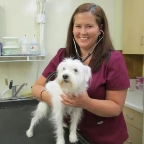 Dr. Jessica Acree treating a small dog in an exam room at Eastview Veterinary Clinic